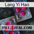 Lang Yi Hao 15